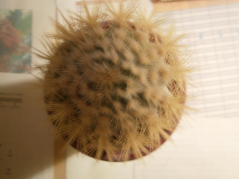 P1170054